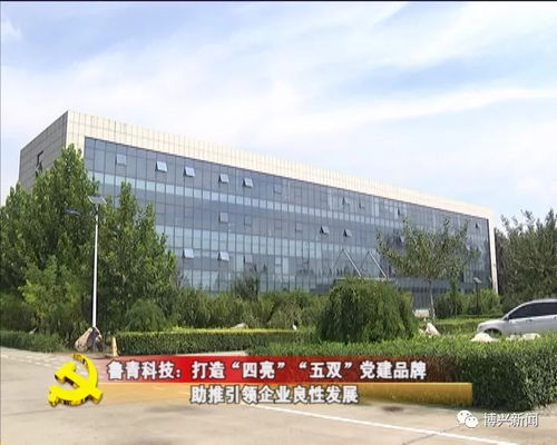 魯青科技 打造“四亮五雙”黨建品牌，以技術開發與咨詢助推企業引領良好循環